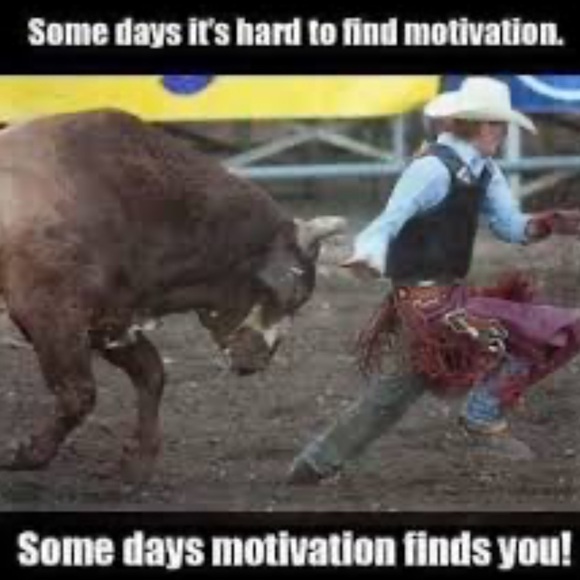 Threedogeggs $5-10 Unlisted Clear-out! - Picture 7 of 15